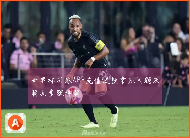世界杯买球APP充值提款常见问题及解决步骤详解