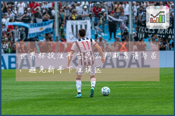 世界杯投注平台怎么判断靠谱与否，避免新手下注误区