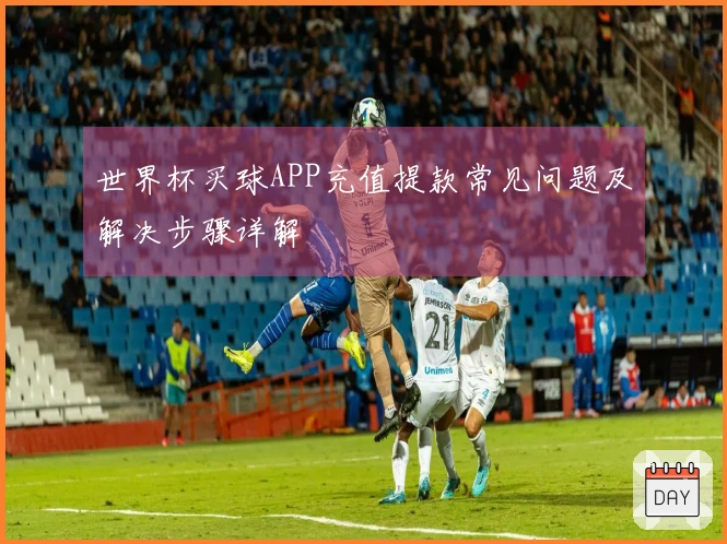 世界杯买球APP充值提款常见问题及解决步骤详解