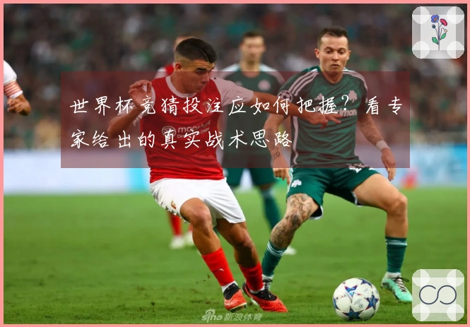 世界杯竞猜投注应如何把握？看专家给出的真实战术思路